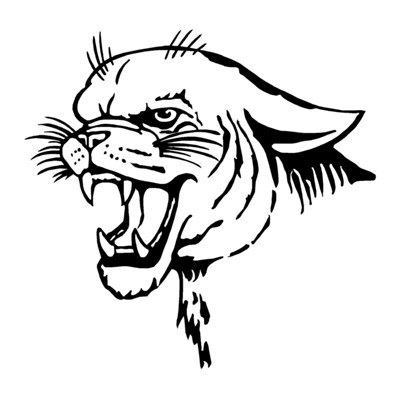 Cougar